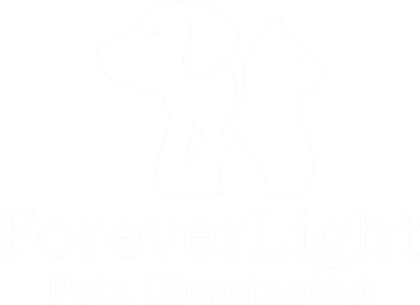 ForeverLight