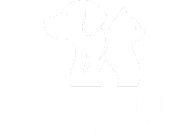 ForeverLight